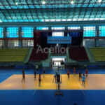 Aceflex-Aceflex Спорт