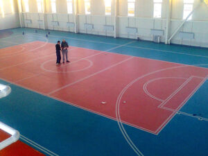 ACEFLEX 7 VINYL SPORTS FLOORING FOR MULTI SPORTS COURT